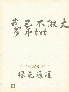 我已不做大佬好多年txt