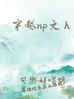 穿越np文 h