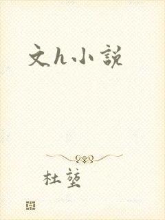 文h小说