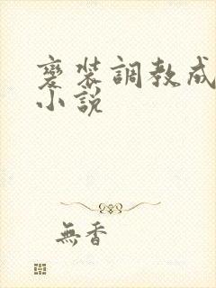 变装调教成淫妇小说