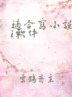 适合写小说的ai软件