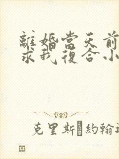 离婚当天前夫跪求我复合小说免费看