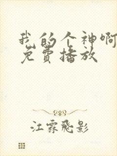 我的个神啊国语免费播放