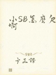 小SB怎么欠C啊