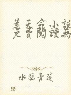 叶天命小说全文免费阅读无弹窗最新章节