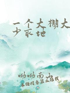 一个大棚大概多少亩地