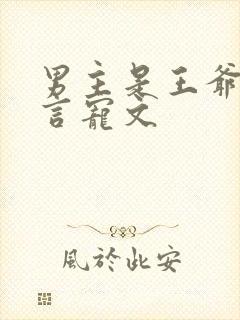 男主是王爷的古言宠文