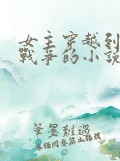 女主穿越到兄弟战争的小说