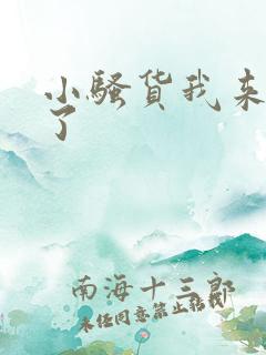 小骚货我来操你了