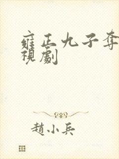 雍正九子夺嫡电视剧