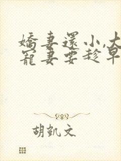 娇妻还小,大叔宠妻要趁早的小说