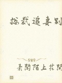 总裁追妻别放手