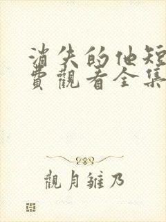 消失的他短剧免费观看全集