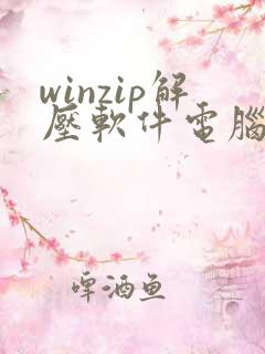 winzip解压软件电脑版免费下载