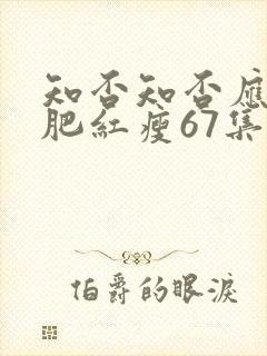知否知否应是绿肥红瘦67集