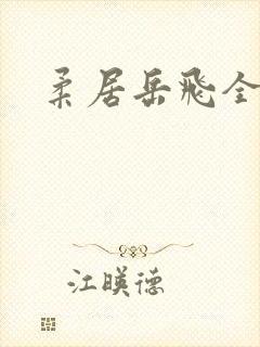 柔居岳飞全传