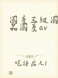 国产三级国产精品国产av