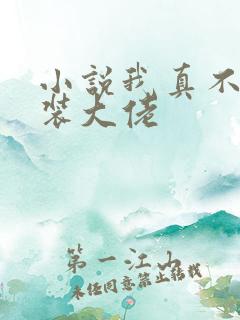 小说我真不是女装大佬