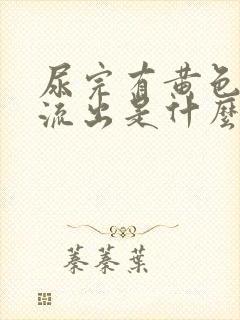 尿完有黄色粘液流出是什么原因?