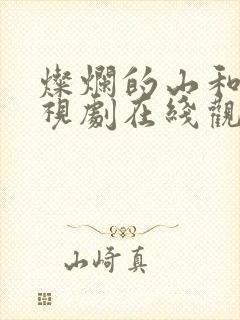 灿烂的山和海电视剧在线观看