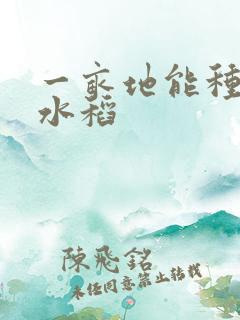 一亩地能种多少水稻