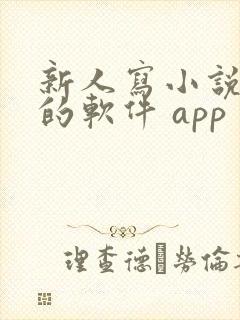 新人写小说赚钱的软件 app