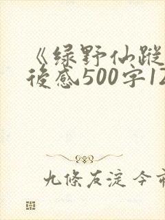 《绿野仙踪》读后感500字12篇