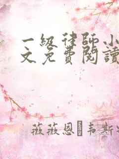 一级律师小说全文免费阅读