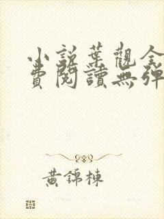 小说叶观全文免费阅读无弹窗