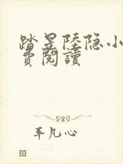 踏星陆隐小说免费阅读