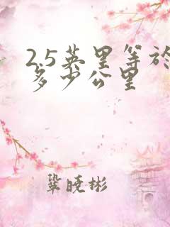 2.5英里等于多少公里