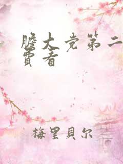 胆大党第二季免费看