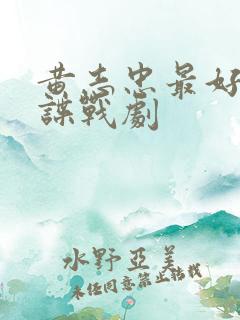 黄志忠最好看的谍战剧