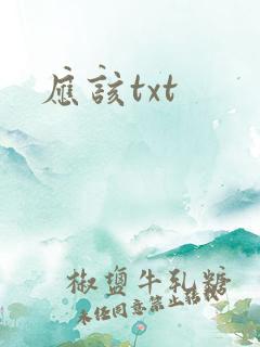 应该txt