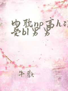 肉耽np高h浪受bl男男