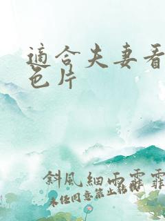 适合夫妻看的情色片