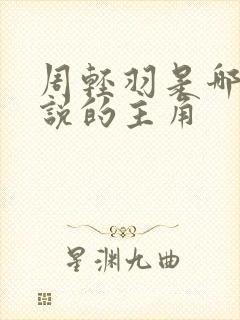 周轻羽是哪部小说的主角