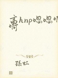 高hnp嗯嗯啊啊