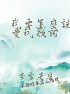 我要怎么说你才爱我歌词