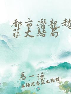 都市潜龙赵东苏菲大结局
