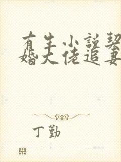 有生小说契约闪婚大佬追妻不择手段