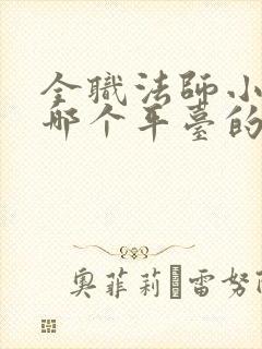 全职法师小说是哪个平台的