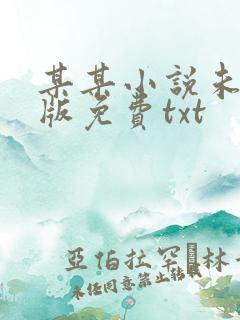 某某小说未删减版免费txt