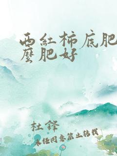 西红柿底肥下什么肥好