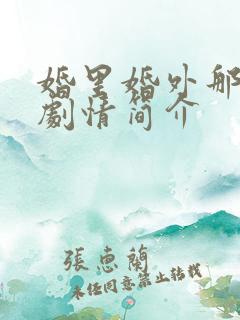 婚里婚外那些事剧情简介