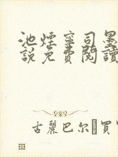 池烟宁司墨辰小说免费阅读笔趣阁