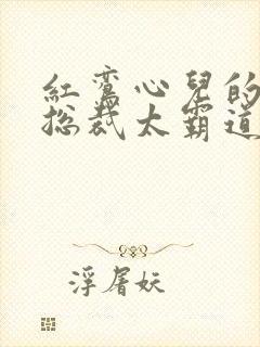 红鸾心儿的闪婚总裁太霸道