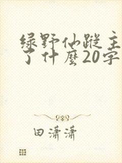 绿野仙踪主要讲了什么20字