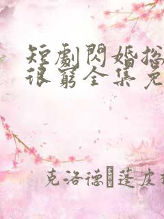 短剧闪婚总裁都很穷全集免费观看