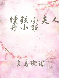 续弦小夫人江摇舟小说